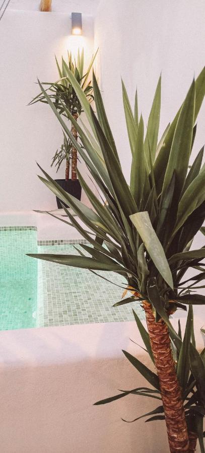 Ronda City Wall Apartments With Private Pool Екстериор снимка